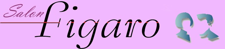 Salon Figaro